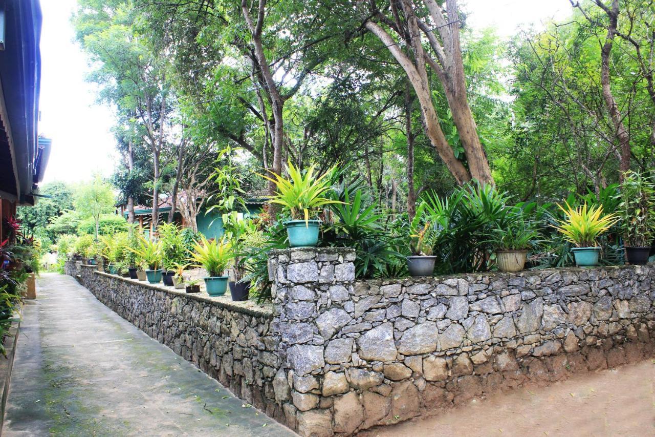 Lodge Melrose Sigiriya